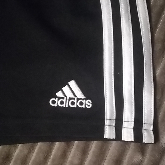 Shorts - Picture 3 of 4